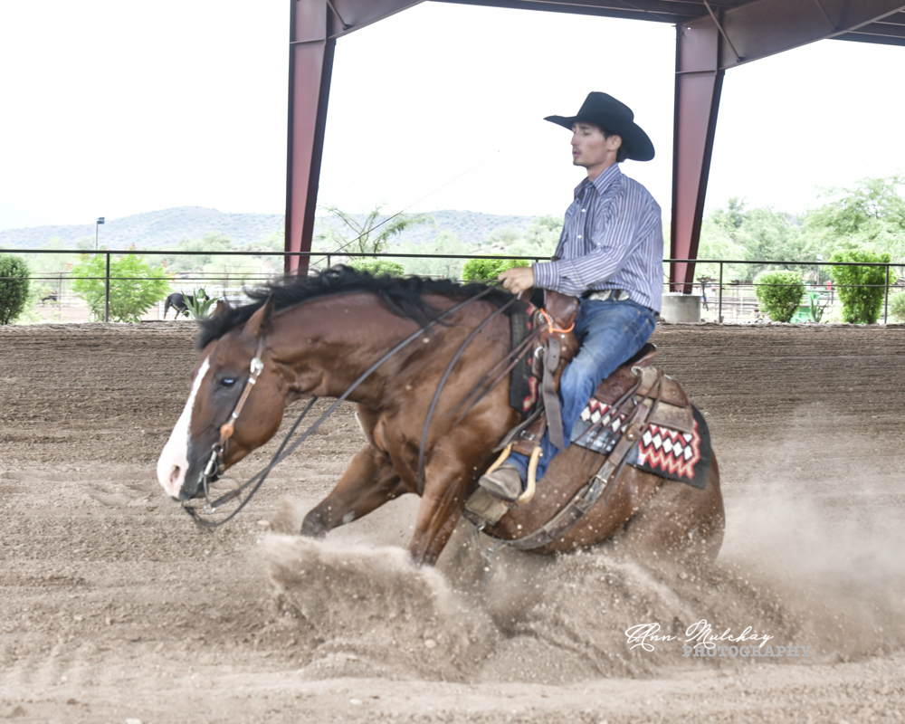 Jeffrey Wilms Training and Management Jeffrey Wilms Training and Management